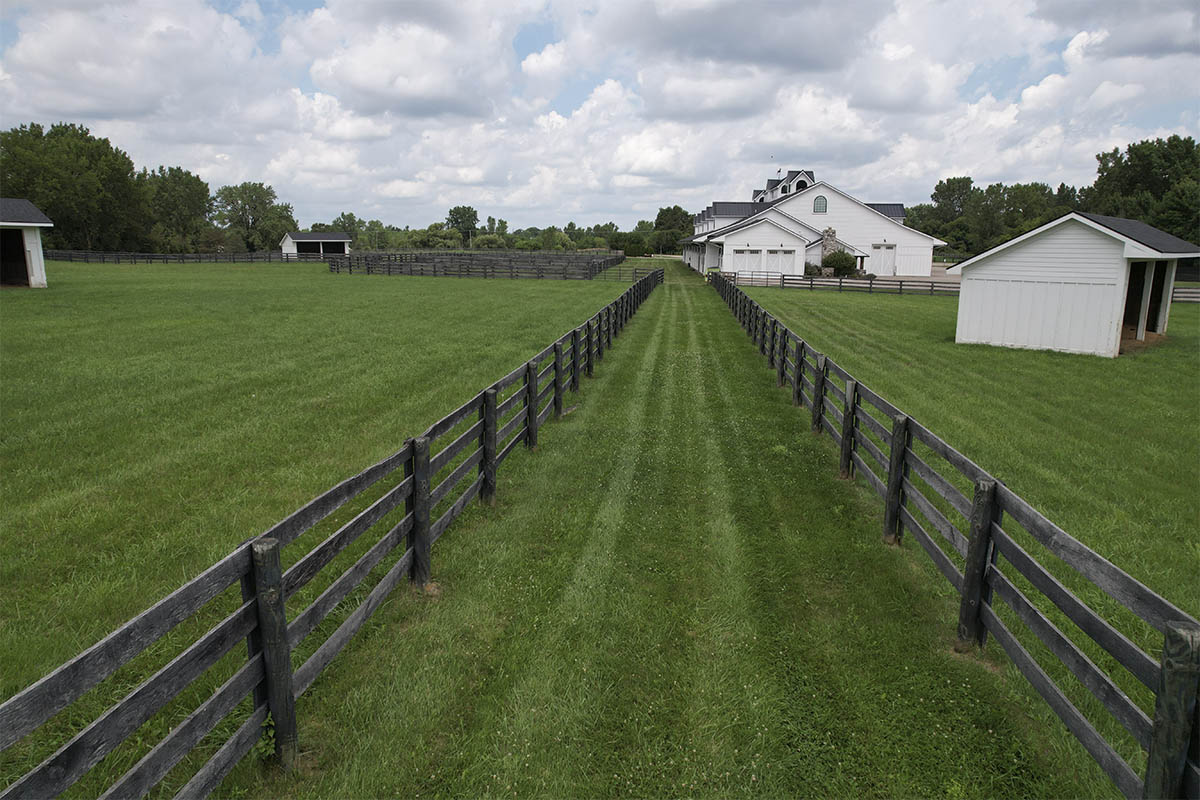 Silver Lane Gallery Silver Lane Gallery
