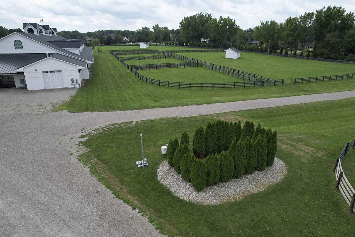 Silver Lane Gallery Silver Lane Gallery