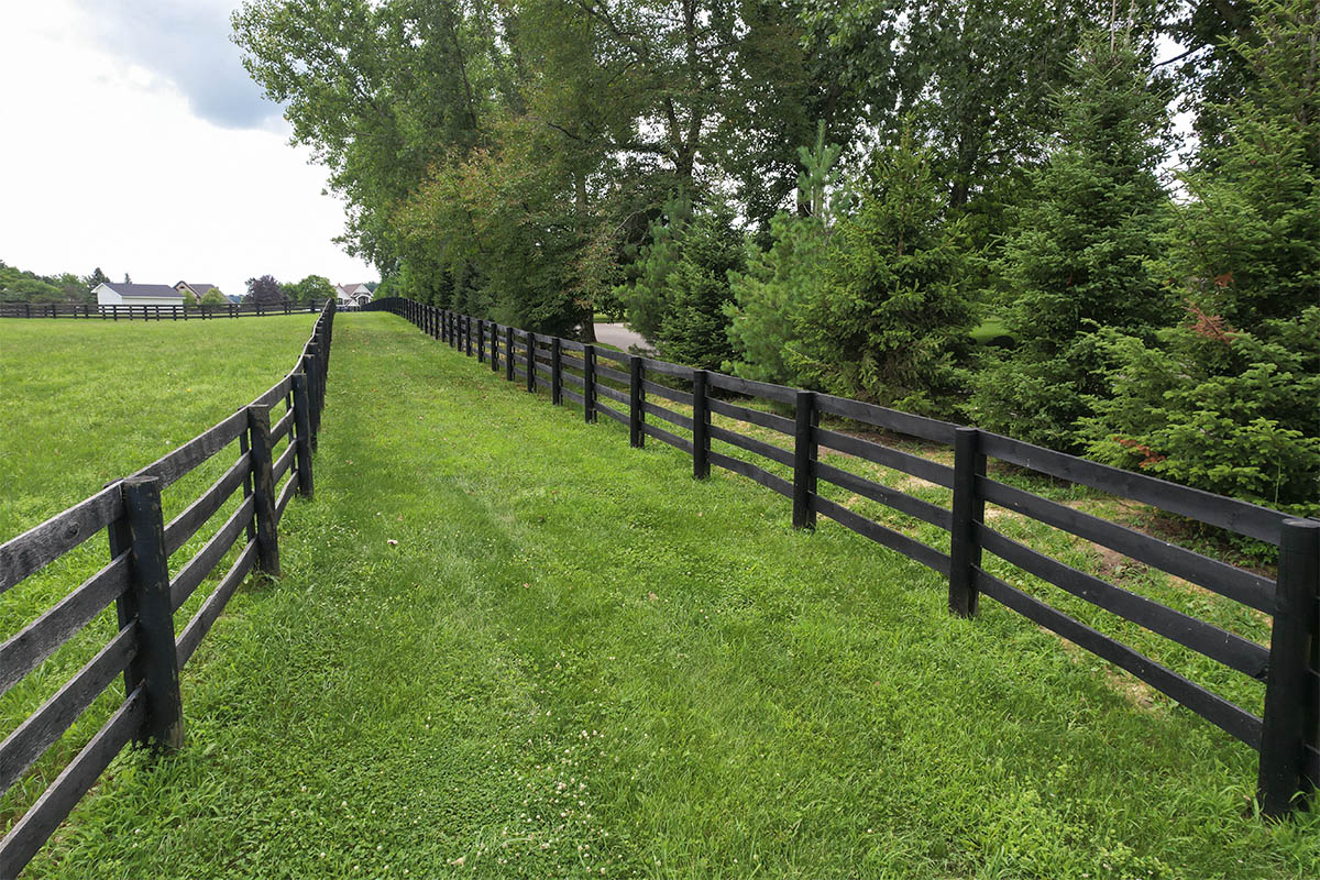 Silver Lane Gallery Silver Lane Gallery